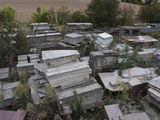 a lot of old tombstones in a field