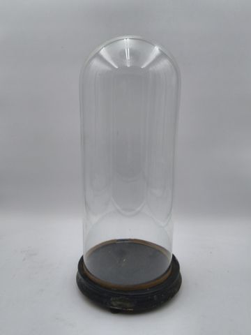 Globe de marié. H 48 cm