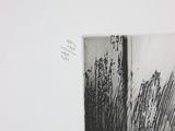 a black and white photo of a vase with a plant in it