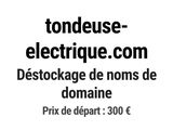 Photo 1/1 du lot
