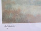 Photo 2/3 du lot