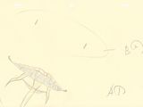 a drawing of a giraffe and an elephant on a piece of paper
