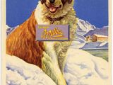 chien brun et blanc assis sur un sol recouvert de neige, tenant une pancarte