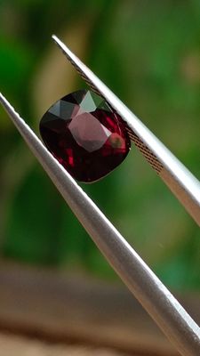 quelqu'un tient une pince dans laquelle est sertie une pierre rouge