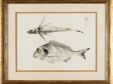 a picture of two fish in a frame on the wall