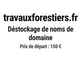 Photo 1/1 du lot