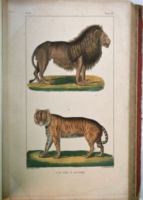 un vieux livre sur lequel figure l'image d'un lion et d'un tigre