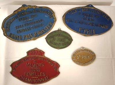 several different types of plaques are displayed on a white surface