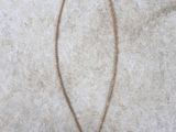 a close up of a necklace with a coin on it