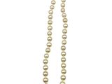 un gros plan d'un long collier de perles sur fond blanc
