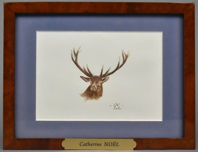 une image représentant un cerf avec des bois, dont les bois