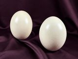 two white eggs sitting on top of a purple cloth covered table