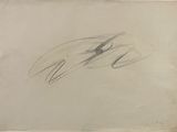an image of a drawing of a bird on a piece of paper