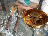 a gold plate with a turtle on it on a glass table