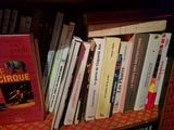de nombreux livres sur une étagère, dont certains ont une couverture rouge