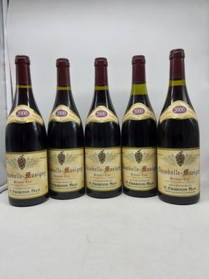six bouteilles de vin sont alignées sur une table