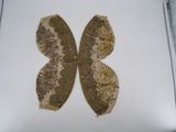 a butterfly that is sitting on top of a piece of paper