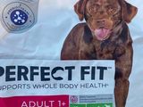 a bag of perfect fit dog food with a dog ' s face