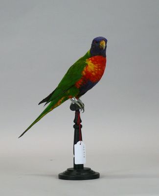 a bird that is sitting on top of a bottle