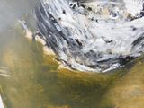 une peinture représentant un oiseau noir et blanc perché sur une feuille de papier
