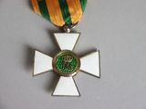 a medal with a green and yellow ribbon around it