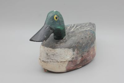 un canard perché sur un morceau de bois