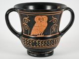 a black and orange cup with an owl on it