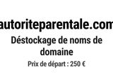 Photo 1/1 du lot