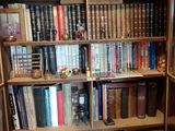 beaucoup de livres sur les étagères de la pièce