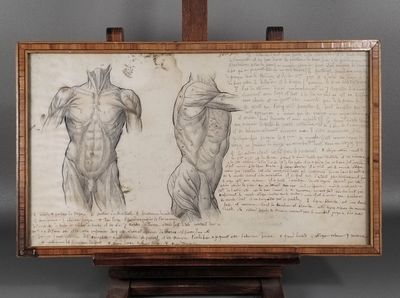 une image représentant le dessin du torse d'un homme posé sur un chevalet en bois
