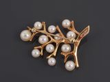 a gold and pearl broochle