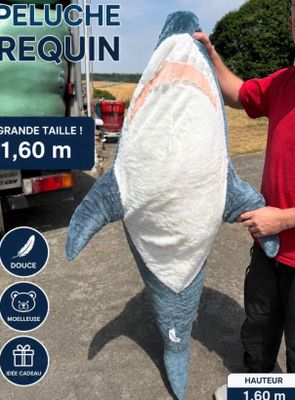 un homme qui tient un gros requin dans ses mains