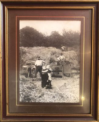 non signé, photographie représentant les moissons à Kerkorré…