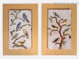 deux photos d'oiseaux perchés sur les branches d'un arbre