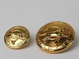 gros plan de deux pièces d'or sur une surface blanche