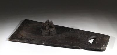 un objet noir d'où sortent plein d'aiguilles