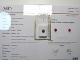 une photo d'un certificat sur lequel figure un losange rouge
