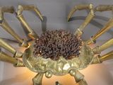 a gold crab with a flower in it ' s mouth