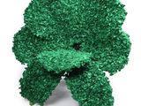 un gros plan d'un brocoli sur fond blanc