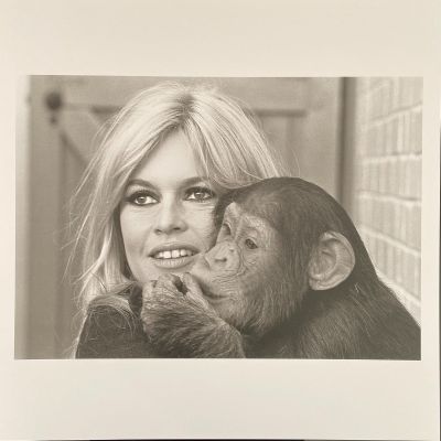 black and white photograph of a woman holding a chimpan in front of a brick wall