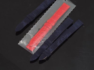 deux pièces en plastique munies d'un bracelet rouge et bleu