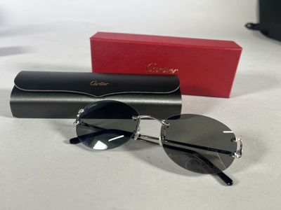 christian dior sunglasses in black and silver with case