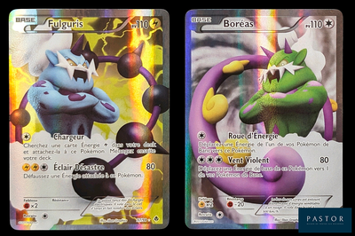 deux cartes Pokémon aux couleurs et aux motifs différents