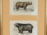 deux reproductions encadrées représentant un hippopotame et un rhinocéros dans un champ