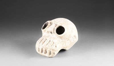 un petit crâne blanc avec un nez noir sur fond gris