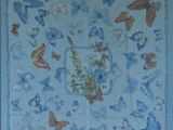 des papillons bleus et orange sur fond bleu, avec une bordure blanche
