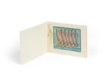 an open card with a picture of a row of fish on it