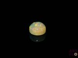 an oplite in the dark with its reflection on the surface