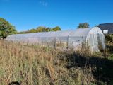 une serre vide au milieu d'un champ où pousse de hautes herbes