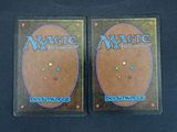 pair of magic the gathering deck protectors for deck protectors